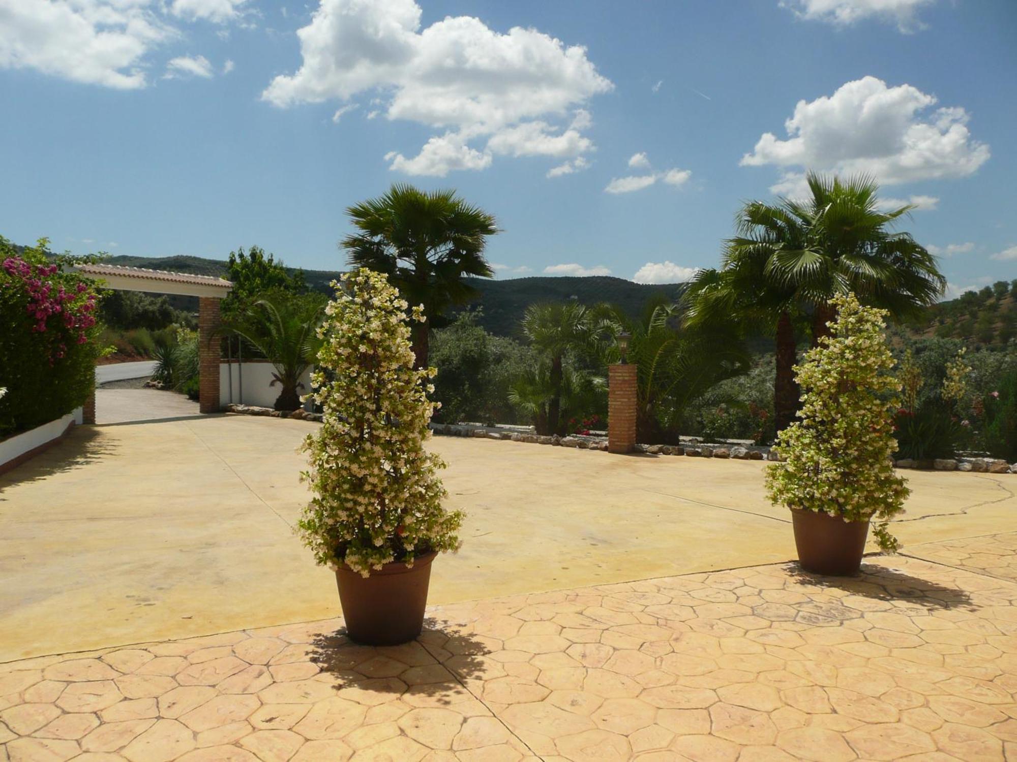 Casa Pino Solo Apartment Iznájar Екстериор снимка